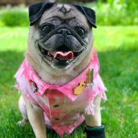 HKM-9590205 Stylish Washed Denim Jacket for Pets in Denim Blue and Cowboy Pink - Multiple Sizes Available