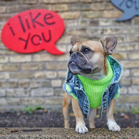 HKM-9590205 Stylish Washed Denim Jacket for Pets in Denim Blue and Cowboy Pink - Multiple Sizes Available