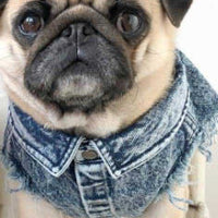 HKM-9590205 Stylish Washed Denim Jacket for Pets in Denim Blue and Cowboy Pink - Multiple Sizes Available