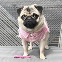 HKM-9590205 Stylish Washed Denim Jacket for Pets in Denim Blue and Cowboy Pink - Multiple Sizes Available