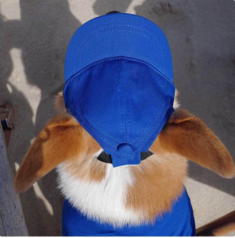 HKM-9601085 Adjustable Sun-Proof Pet Baseball Cap for Exposed Ears - Apricot, Blue, Milk Blue, Purple, Black