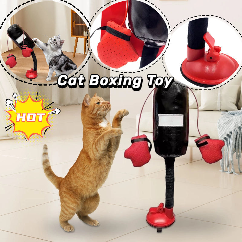 HKM-9609277 Interactive Cat Punching Bag Toy with Gloves for Active Indoor Play and Exercise