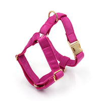 HKM-9609789 Fashion-Forward Pet Collar Set with Lead, Bow, Poop Bag, Chest Back, and Flower Decoration