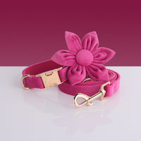 HKM-9609789 Fashion-Forward Pet Collar Set with Lead, Bow, Poop Bag, Chest Back, and Flower Decoration