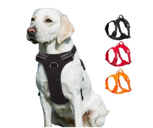HKM-9611069 Dog Vest-style Chest Strap with Towing Rope - Adjustable Size Options in Orange, Red & Black