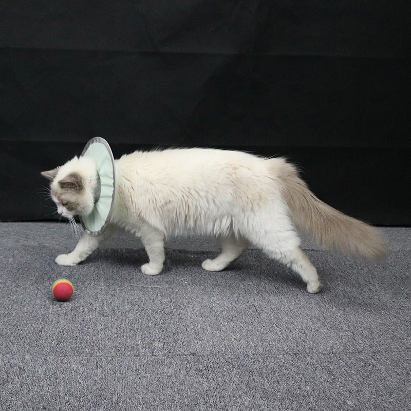 HKM-9615165 Waterproof and Splashproof Nylon Headgear for Cats and Dogs in Cyan