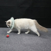 HKM-9615165 Waterproof and Splashproof Nylon Headgear for Cats and Dogs in Cyan