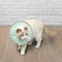 HKM-9615165 Waterproof and Splashproof Nylon Headgear for Cats and Dogs in Cyan