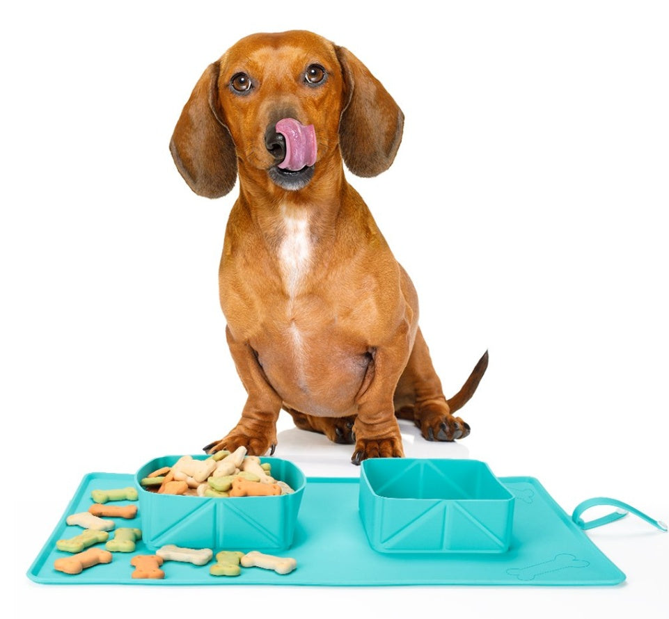 HKM-9617725 Foldable Silicone Dog and Cat Bowl, 600ml Capacity, Portable Pet Feeding and Hydrating Solution
