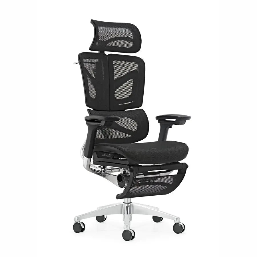 HKM-961875 Ergonomic High Back Executive Computer Chair with Adjustable Footrest and Full Mesh Design