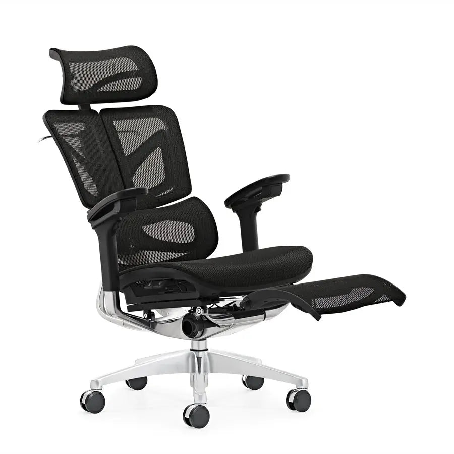 HKM-961875 Ergonomic High Back Executive Computer Chair with Adjustable Footrest and Full Mesh Design