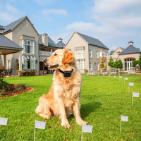 HKM-9625277 Electric Dog Fence System with Water-Resistant Collar for All Dog Sizes, Adjustable Range Up to 1.2 Acres