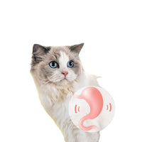HKM-9629885 Durable Bamboo Cat Molar Stick for Oral Health, Tartar Removal, Large Pack Options Available