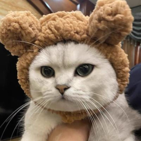 HKM-9633853 Plush Bear Hat for Pets in Brown, White, and Pink ¨C Cozy Dress-Up Accessory