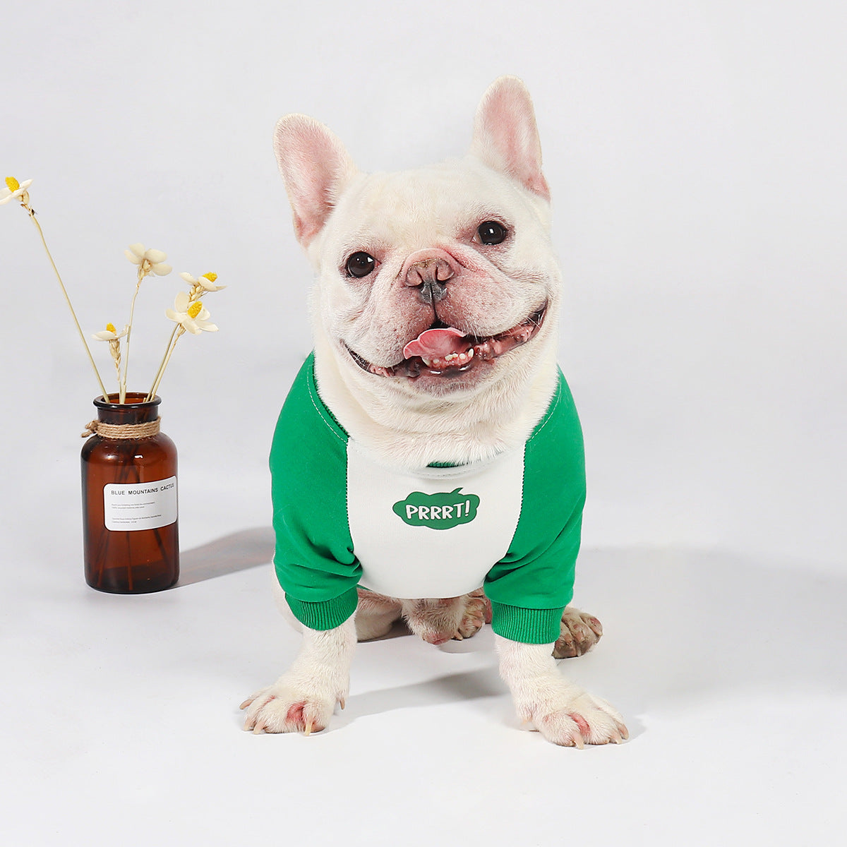 HKM-9634109 Korean Style Dog Winter Outfit - Thin Stitching, Comfortable Cotton, Easy Pullover Design, Multiple Sizes Available