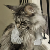 HKM-9636797 Funny Muscle Hand Hanging Cat Toy - Creative Plastic Design in Multiple Colors