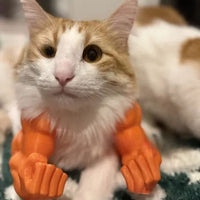 HKM-9636797 Funny Muscle Hand Hanging Cat Toy - Creative Plastic Design in Multiple Colors