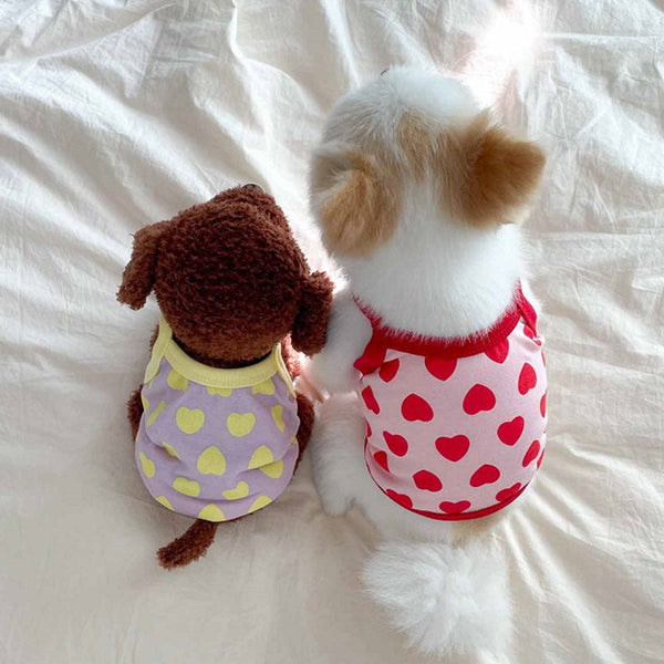 HKM-9637181 Breathable Summer Vest for Cats and Small Dogs in Multiple Sizes and Colors