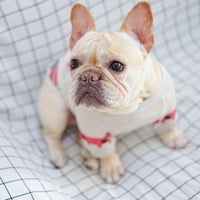 HKM-9638973 Dog Fighting Apparel - Cotton Blend Fabric, Various Sizes Available