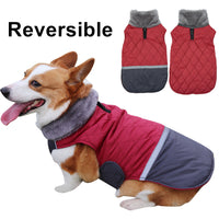 HKM-9641149 Reversible Plush Lapel Pet Jacket with Waterproof Fabric and Reflective Stripes