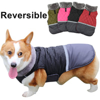 HKM-9641149 Reversible Plush Lapel Pet Jacket with Waterproof Fabric and Reflective Stripes