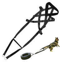 HKM-9645373 Adjustable Cotton Dog Traction Belt with Chest Strap – 110cm Length