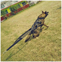 HKM-9645373 Adjustable Cotton Dog Traction Belt with Chest Strap – 110cm Length