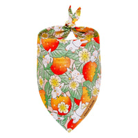 HKM-9647933 Adorable Cartoon Pet Saliva Towel for Spring & Summer in Various Designs