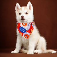 HKM-9647933 Adorable Cartoon Pet Saliva Towel for Spring & Summer in Various Designs