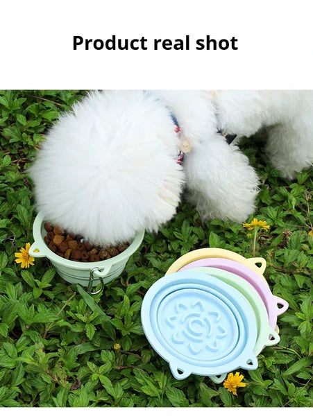 HKM-9656253 Portable Collapsible 3-in-1 Dog Bowl with Strong Suction Cups and Hanging Hook