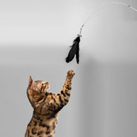 HKM-9659325 Telescopic Cat Toy with Removable Feather Bell, Adjustable 48-80cm Fiber Rod