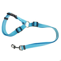 HKM-9671357 Dual-Purpose Pet Traction Rope Car Seat Belt for Enhanced Safety