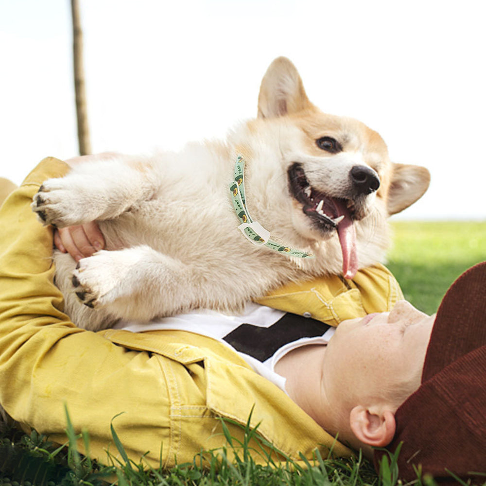 HKM-9674813 Adjustable Dog Calming Collar, Anti-Flea and Lice Necklace for Pets, Durable and Odor-Free Design