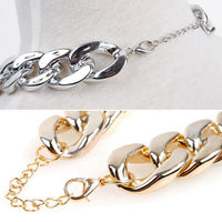 HKM-9675325 Gold Chain Buckle Collar for Small and Medium Dogs - Twisted Design, Adjustable Size, Pet Necklace