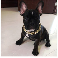 HKM-9675325 Gold Chain Buckle Collar for Small and Medium Dogs - Twisted Design, Adjustable Size, Pet Necklace