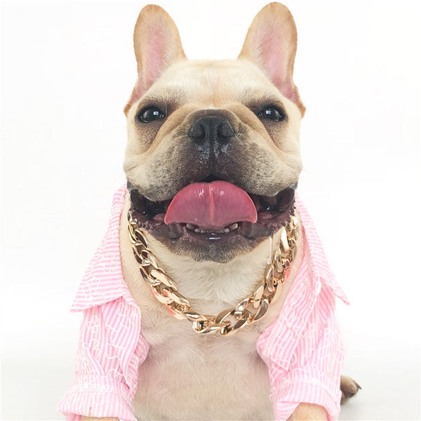HKM-9675325 Gold Chain Buckle Collar for Small and Medium Dogs - Twisted Design, Adjustable Size, Pet Necklace