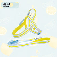 HKM-9676605 Portable Pet Harness with Hand Holding Rope - Available in Sea Salt Yellow, Fumigated Purple, Cream Powder, Coral Orange