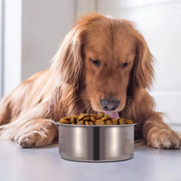 HKM-9679293 Stainless Steel Hanging Dog Bowl with Detachable Clamp for Pet Cage Food and Water
