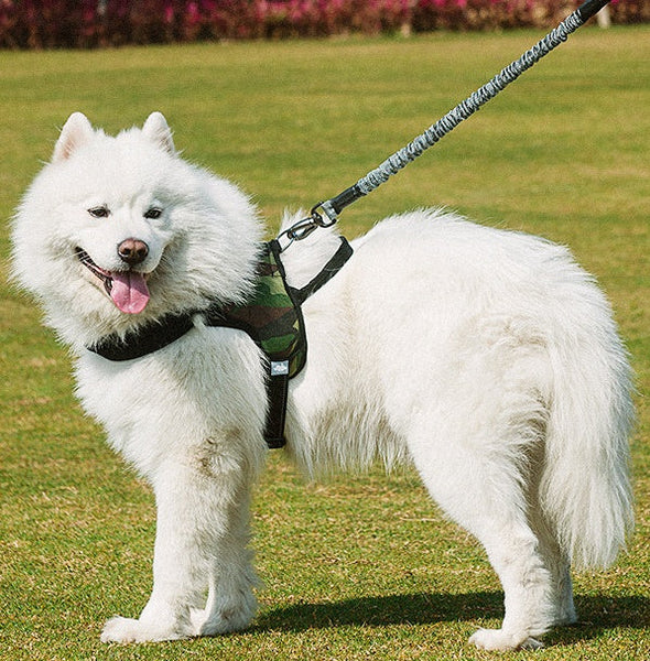 HKM-9682365 Adjustable Dog Chest Harness with Leash - Normal Length 75-105cm, Extended Length 120-150cm