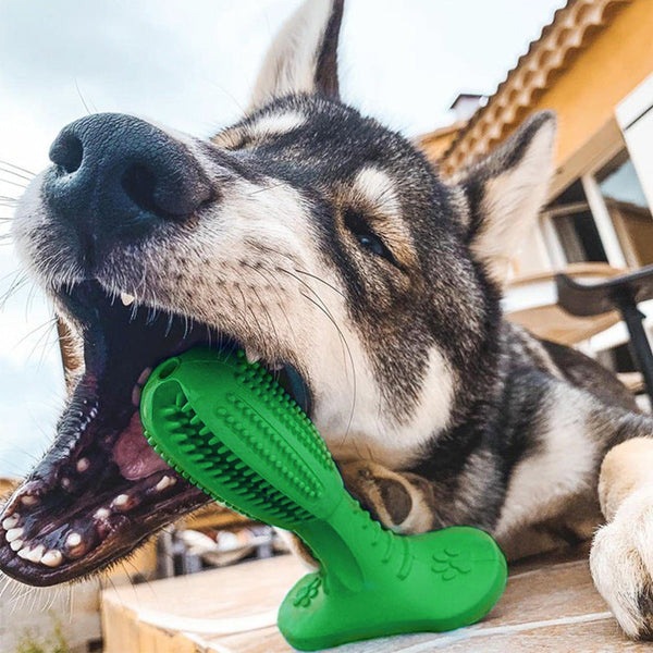 HKM-9683901 Bite Resistant Rubber Molar Toy for Dogs - Available in Multiple Sizes and Colors