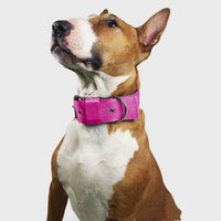 HKM-9685053 Multicolor Nylon Dog Collar Bandana for All Seasons - Sizes S to XL
