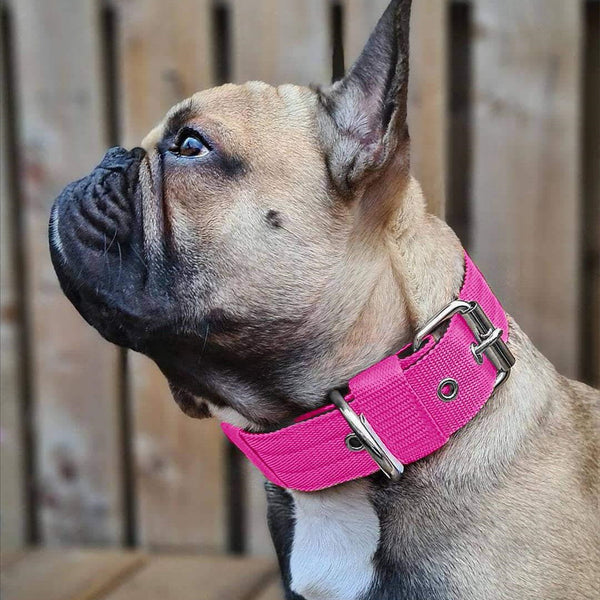 HKM-9685053 Multicolor Nylon Dog Collar Bandana for All Seasons - Sizes S to XL