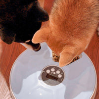 HKM-9698365 Automatic Pet Feeder with 6 Grids and Voice Reminder Function