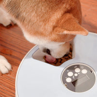 HKM-9698365 Automatic Pet Feeder with 6 Grids and Voice Reminder Function