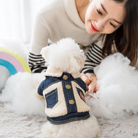 HKM-9704509 Warm Denim and Grain Velvet Two-Legged Clothing for Pets