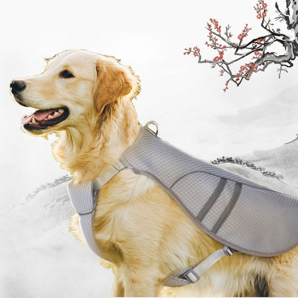 HKM-9706685 Breathable Light Gray Outdoor Pet Cooling Clothes ¨C Mesh Fabric, Adjustable Fit for All Sizes S-XL