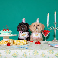 HKM-9707709 Pet Birthday Bib and Hat Set for Dogs - Bichon Triangle Scarf, Polyester Material, Various Sizes Available