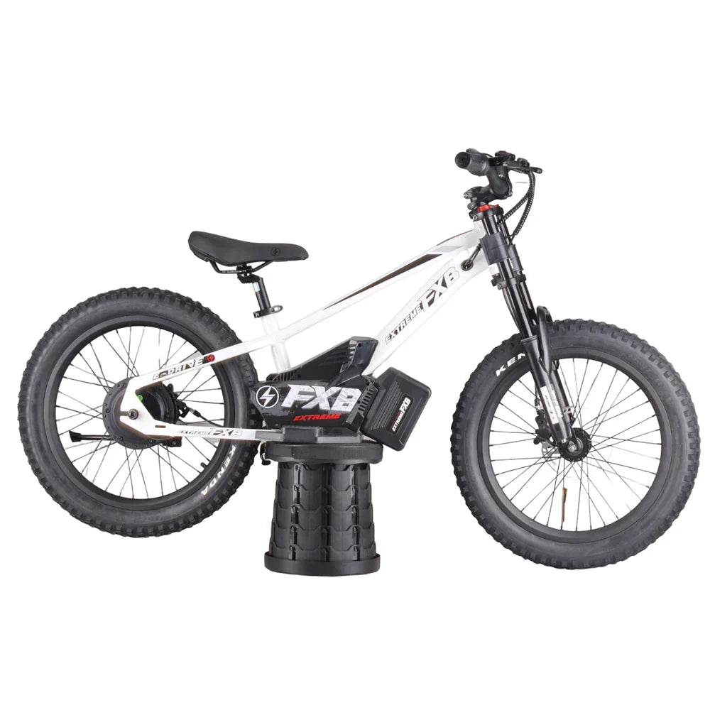 HKM-970899 20-Inch High-Power Electric Balance Bike with 600W-800W Motor for Kids Aged 8-16 Years