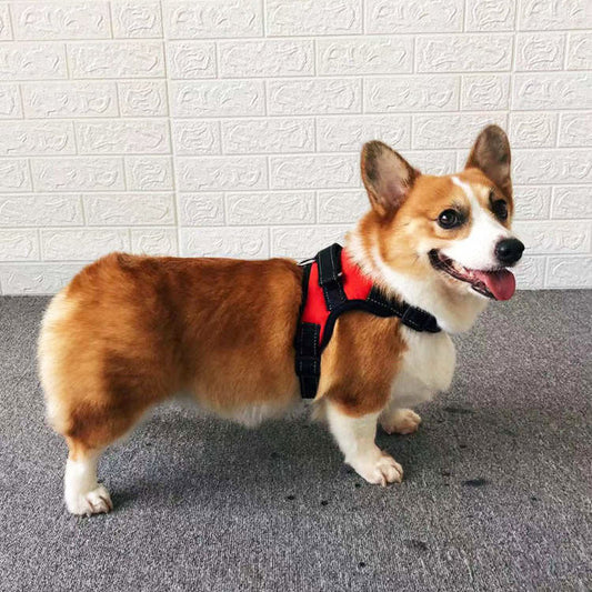 HKM-9709885 Small Dog Vest with Towing Rope - Multiple Colors and Sizes Available