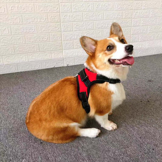 HKM-9709885 Small Dog Vest with Towing Rope - Multiple Colors and Sizes Available